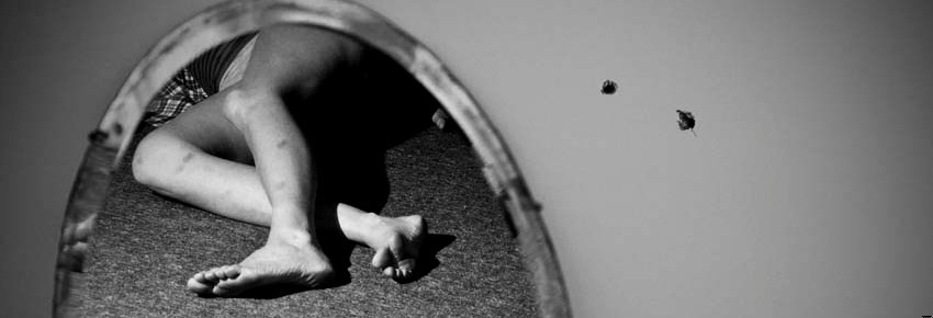 Gdy przeglądasz się w lustrze i masz ochotę je stłuc, …