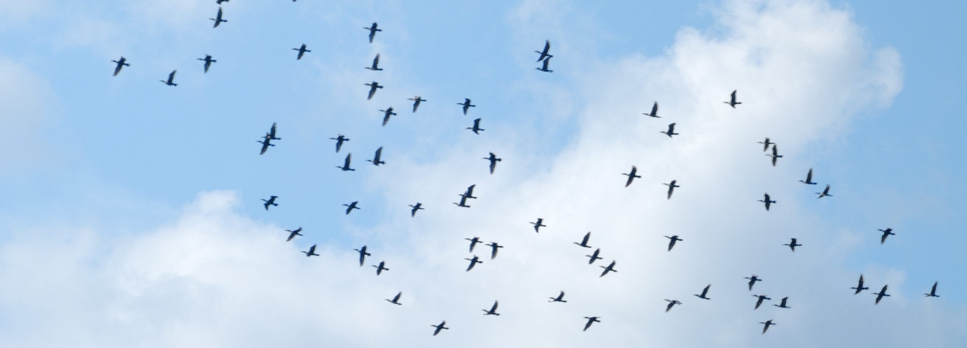Gdyby ktoś spytał, gdzie jesteśmy, każcie mu spojrzeć w górę.