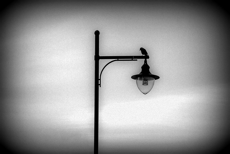 Dziwna rzecz, jak mnie to wszystko mało obchodzi.