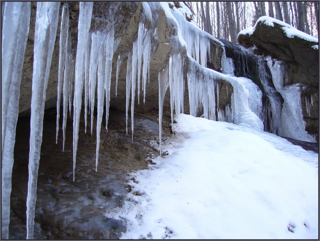 Trzeba żyć, zanim zacznie się pisać.