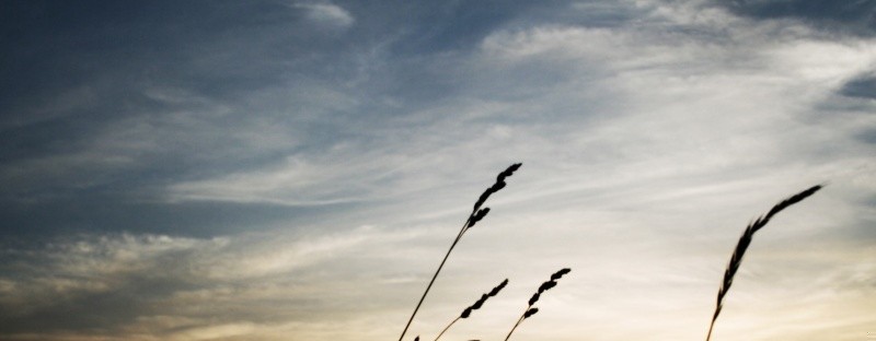 …tego co widzi się zawsze, nie widzi się nigdy, żyliśmy …