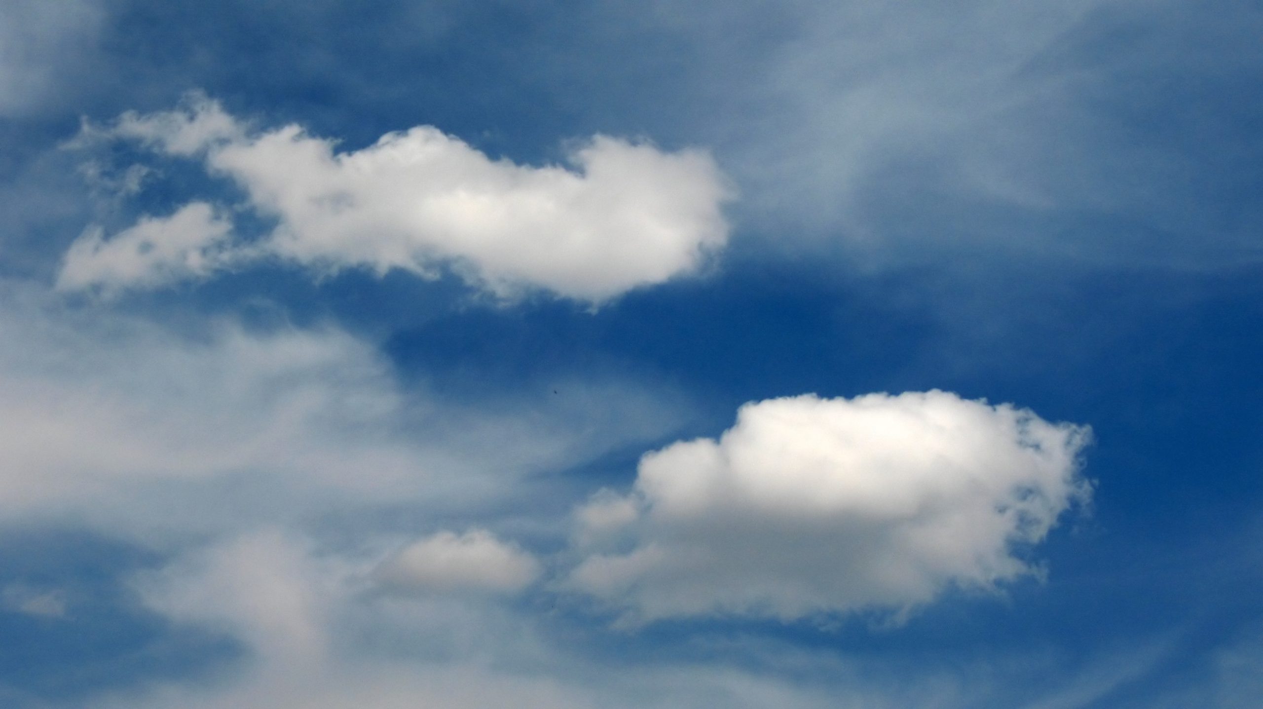 Nie słychać, jak ludzie myślą o sobie. Jak w myślach …