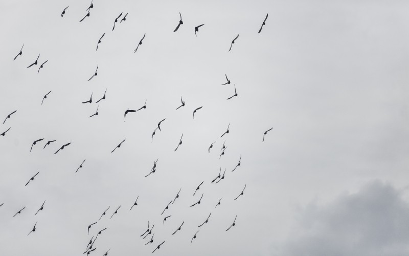 Czasami pływamy w nieprzelanych łzach i możemy utonąć, jeśli je …