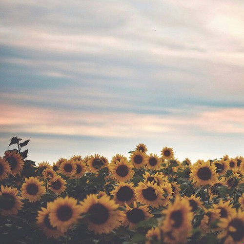 Bliskość śmierci zawsze sprawia, że staramy się żyć lepiej.