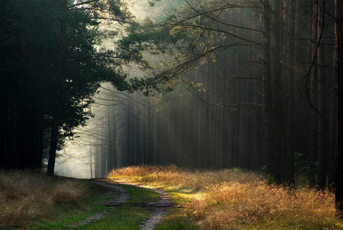 Nadzieja – pożyczka, której udziela nam szczęście.