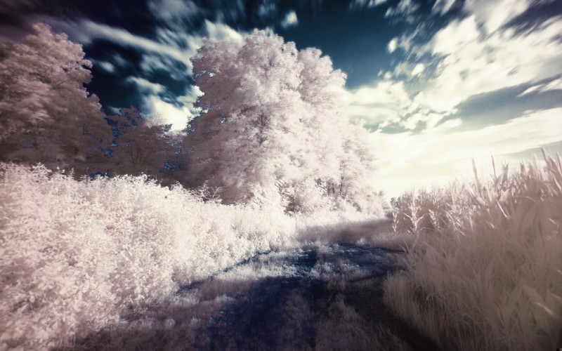 Jeśli masz okazję zbliżyć się do wroga, zawsze z niej …