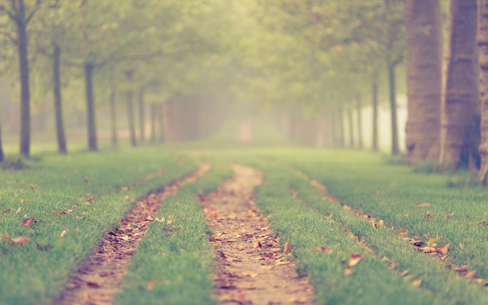 Nie szukaj drogi życiowej – buduj ją sam.