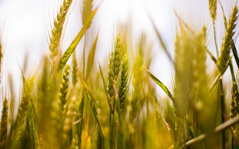 Jesteśmy szaleńcami z tego szpitala przy szosie, psychoceramikami, stukniętymi garnkami …