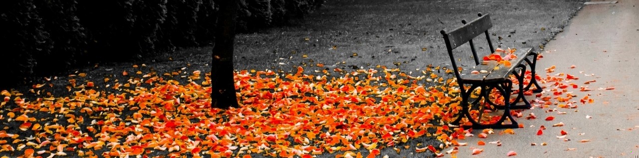 Ale nie można wiecznie żyć wiecznie wspomnieniami, które są jak …