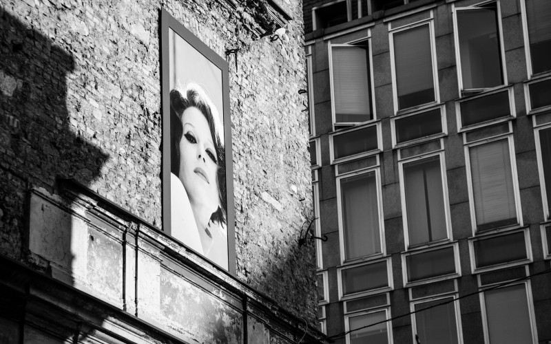 Ale kto powiedział, że ludzie są mądrzy ?