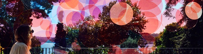 Może rzeczywistość zależy od naszego na nią spojrzenia? Każdy widzi …