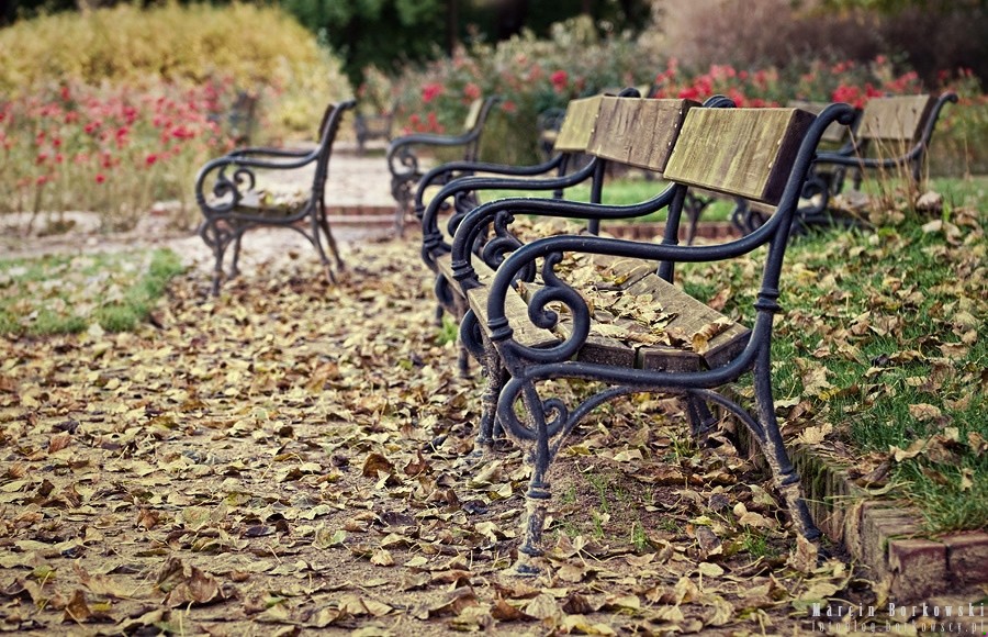 Trzeba spacerować, trzeba zatrudniać ducha, podobnie jak ciało. Duch potrzebuje …
