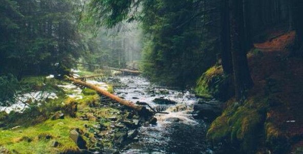 Możesz być kochany przez wszystkich, ale mimo to być bardzo …