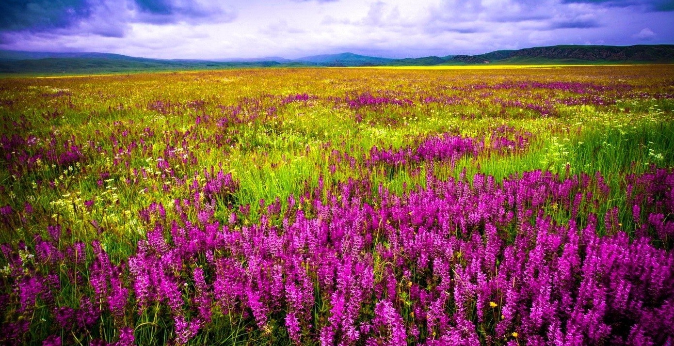 Tak jak oznaką obfitości jest wzajemność, tak oznakami ubóstwa są …
