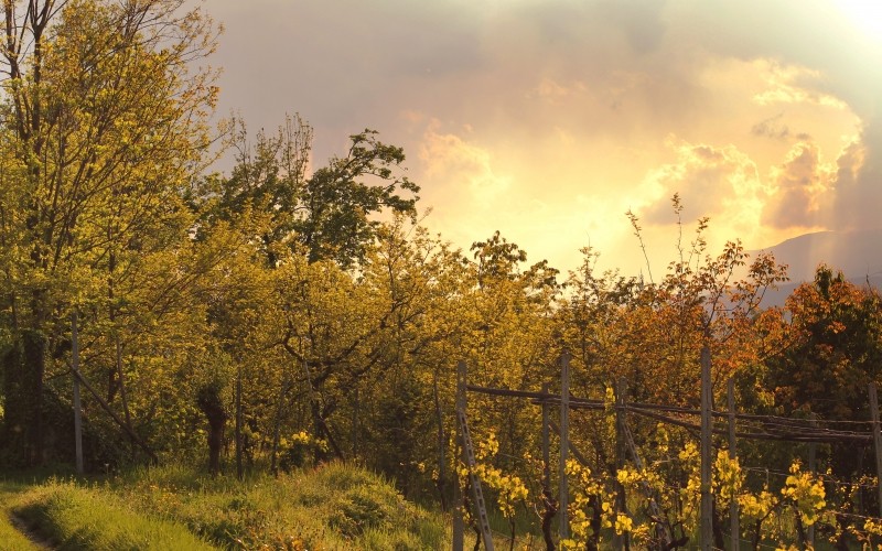 Jego spojrzenie wyrażało taki ocean pogardy, że mogłabym się w …