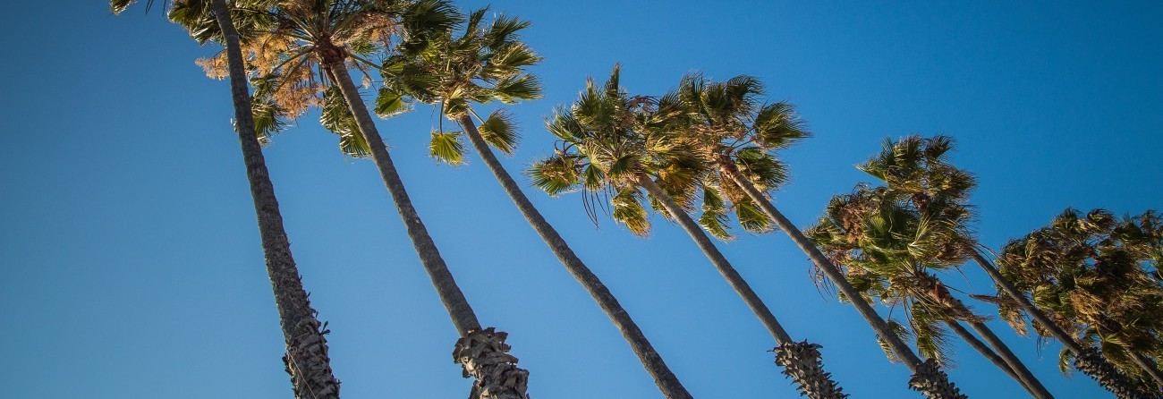 (…) bez bólu nie ma radości. To równowaga pozwala doceniać …