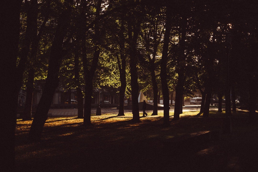 Moje serce usłyszało, co mówiło jego serce i poczuło się …