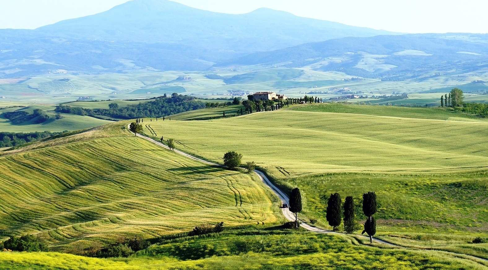 Dziś wiem , że w takich momentach jak tamten, trzeba …