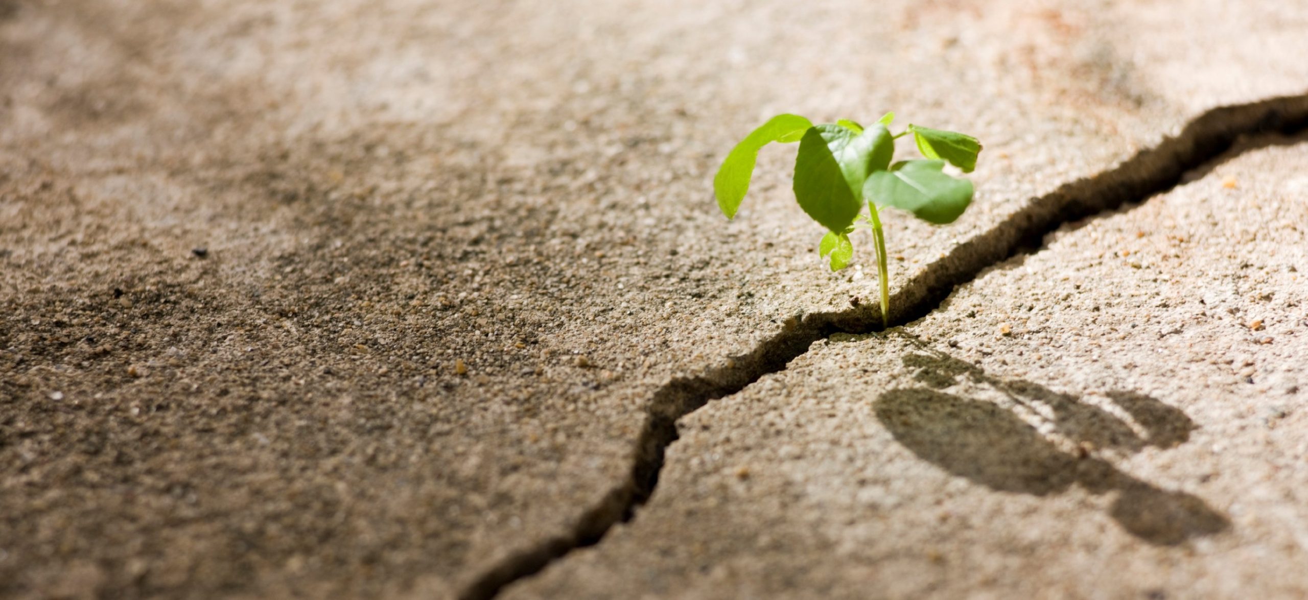 Jeśli nie jesteś szczęśliwy, najlepiej przestań się tym zamartwiać i …