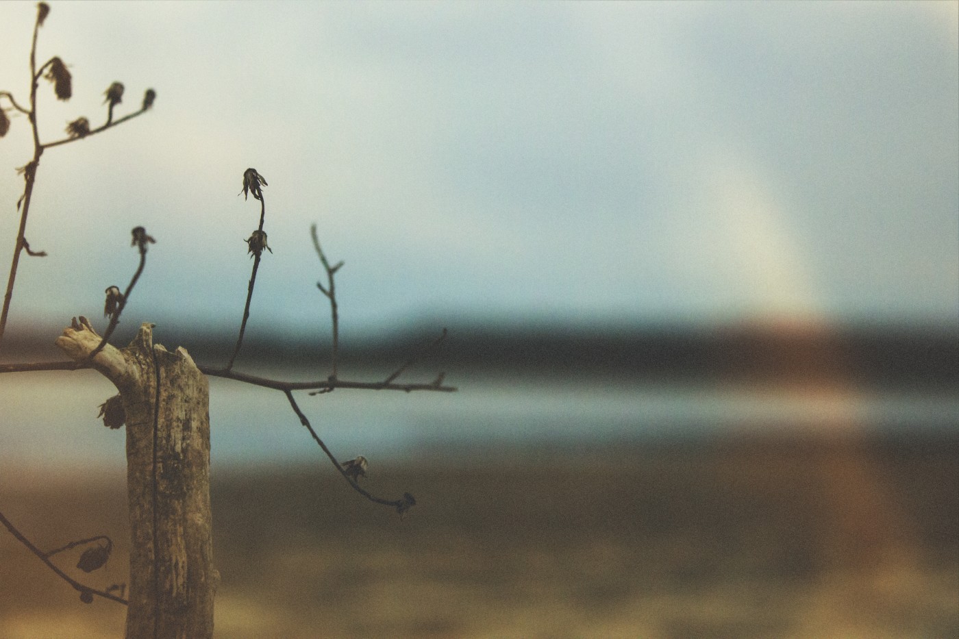 Rzeczywistość jest tym, co sam stwarzasz.