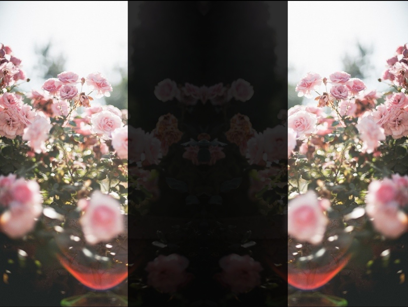 Ale jestem megaleniem, megatchórzem, megaasekurantką.