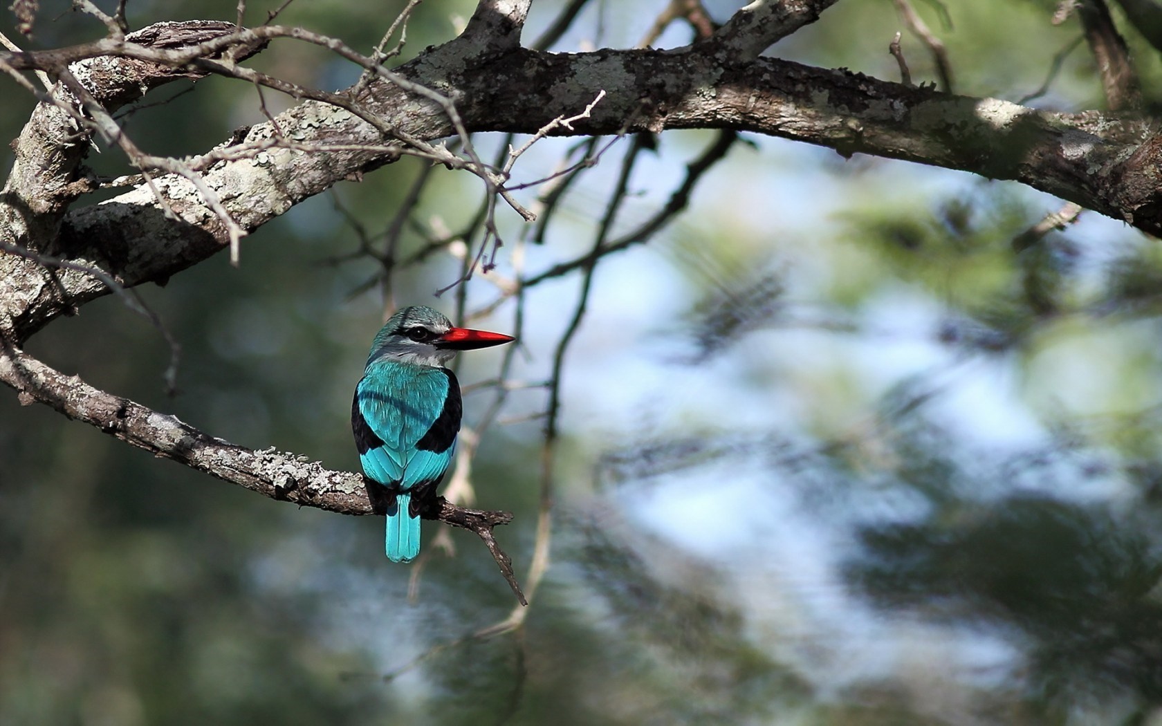 Tam, gdzie jest chęć, jest też sposób.