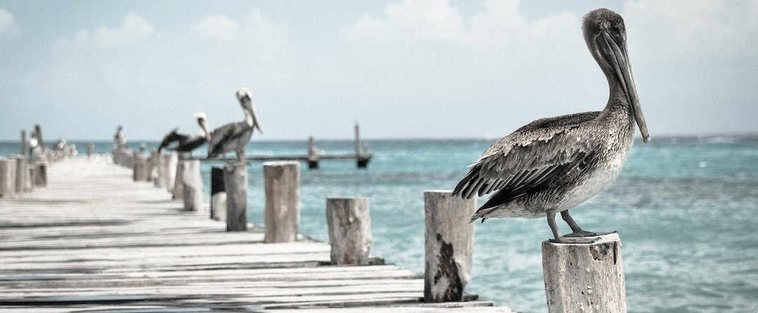 Można oszukać czas, ale on w końcu zawsze z nami …