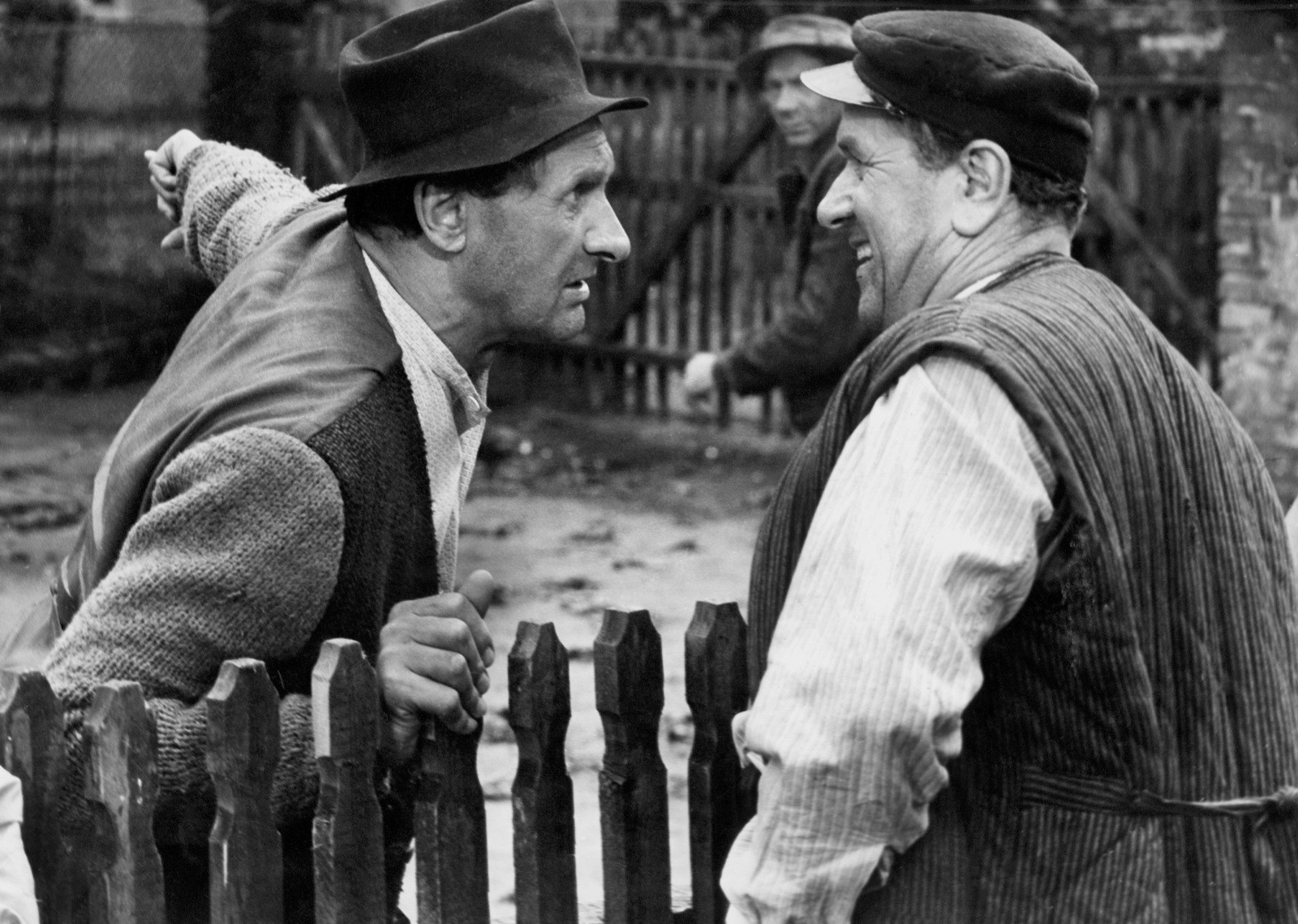 Słyszała? Naszemu sąsiadowi ogiera ukradli, a taki był ładny, hamerykański…