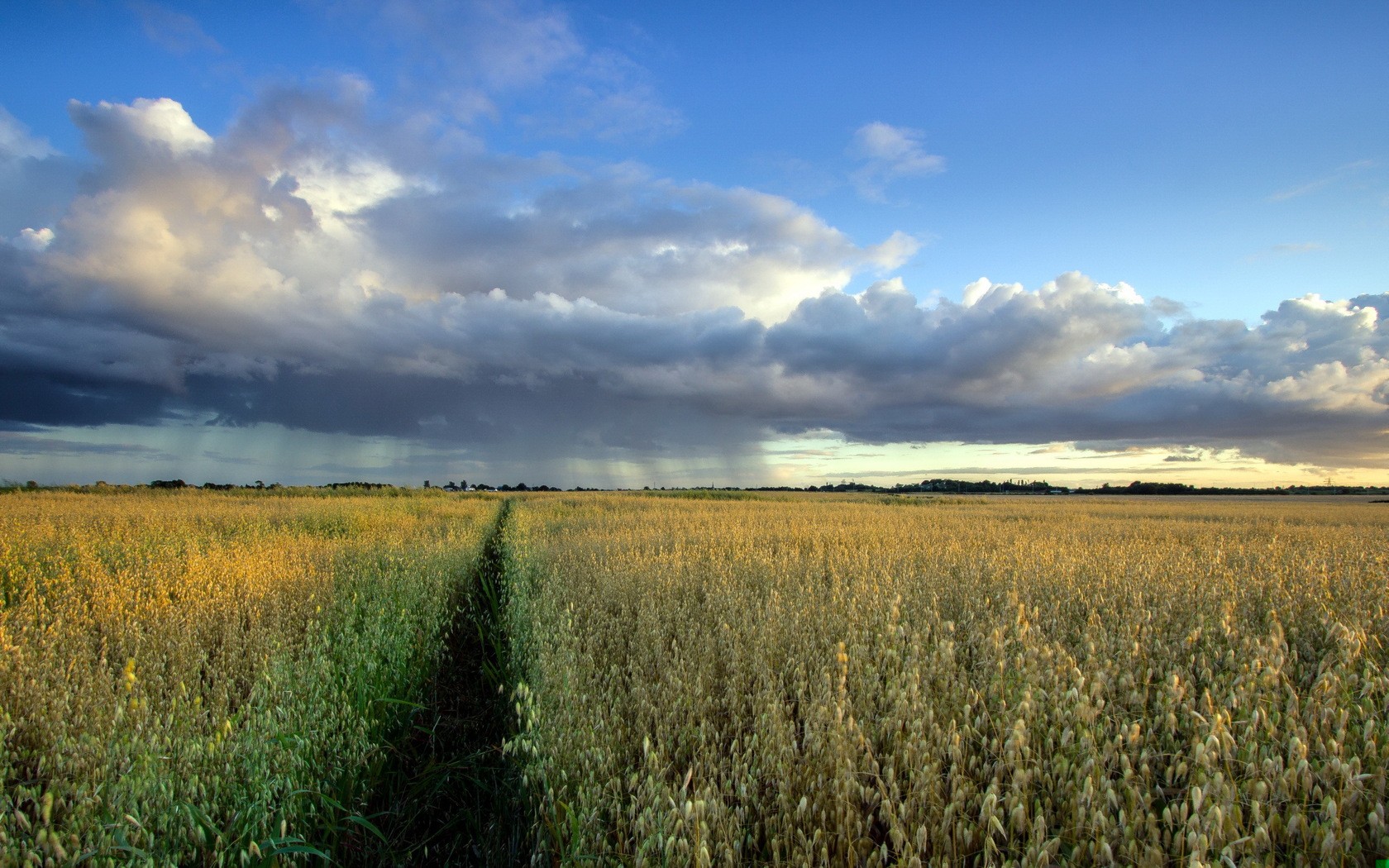 Zdajesz sobie sprawę z tego, że wszystko się zmieni, kiedy …
