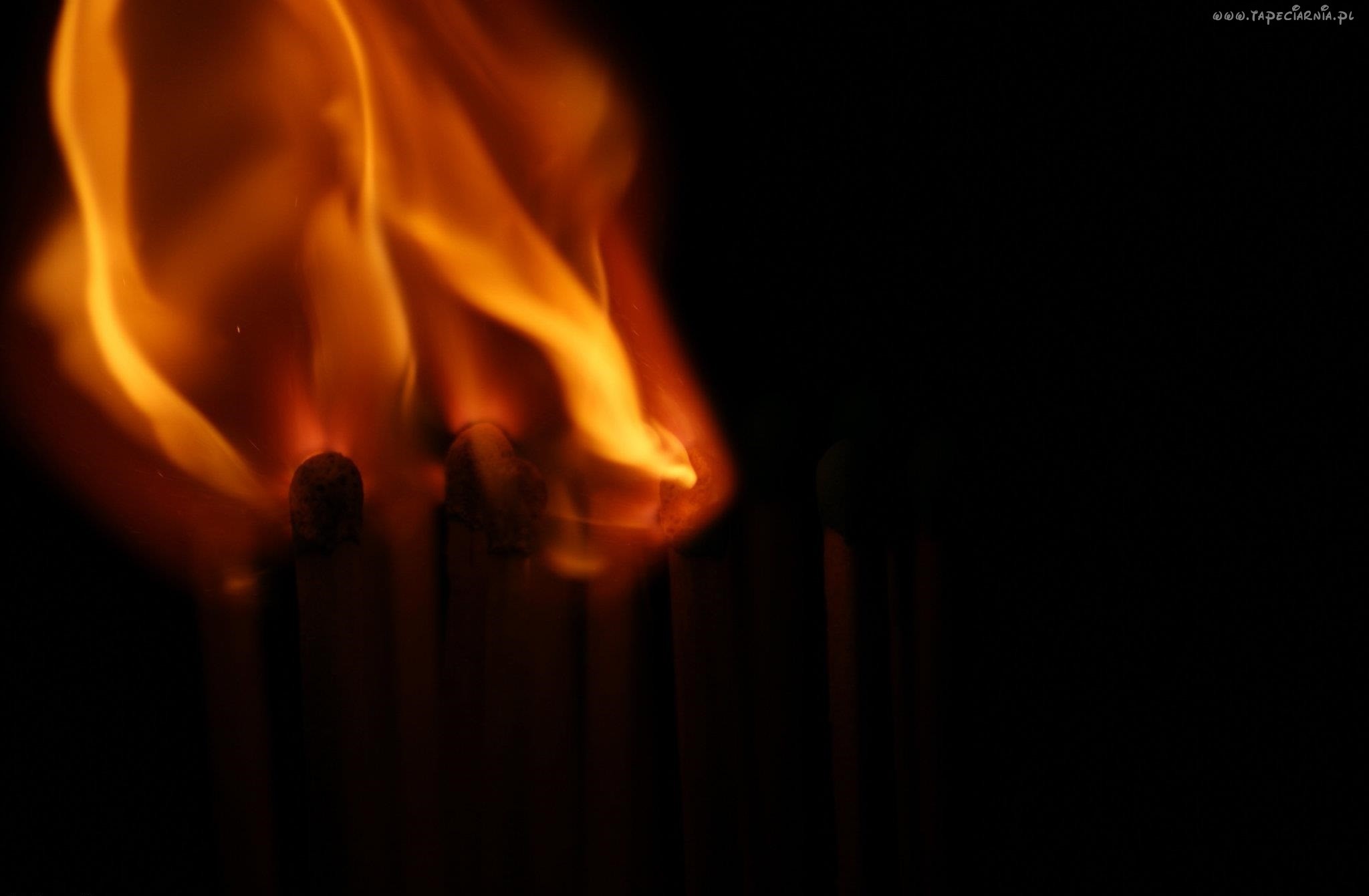 Każda rewolucja zaczyna się od iskry.