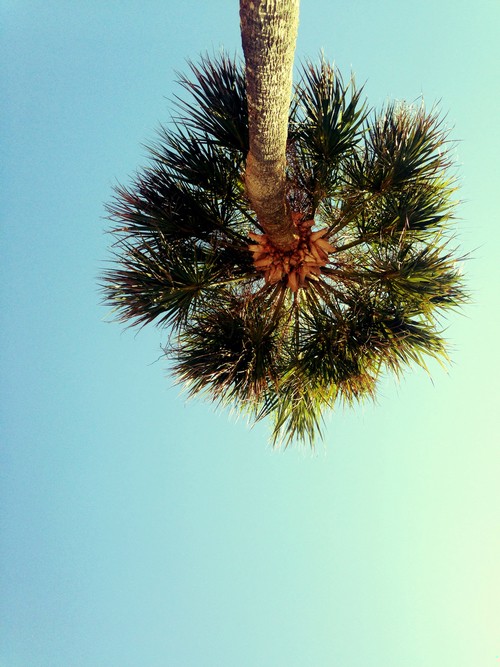 Wstrzymanie się od krytyki religii jest niemoralne – oto moja …