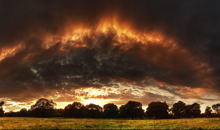 Uczeni odkryli w mózgu tłuszcz, krew, fosfor, miliony komórek i …