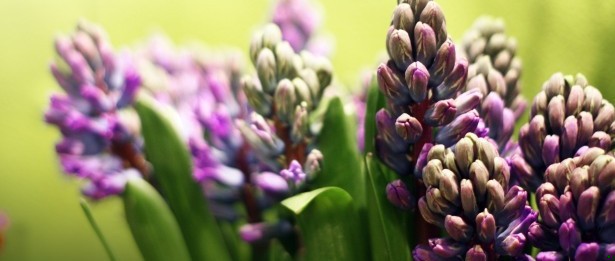 Ale dla mnie nie ma ani poniedziałku, ani niedzieli: są …