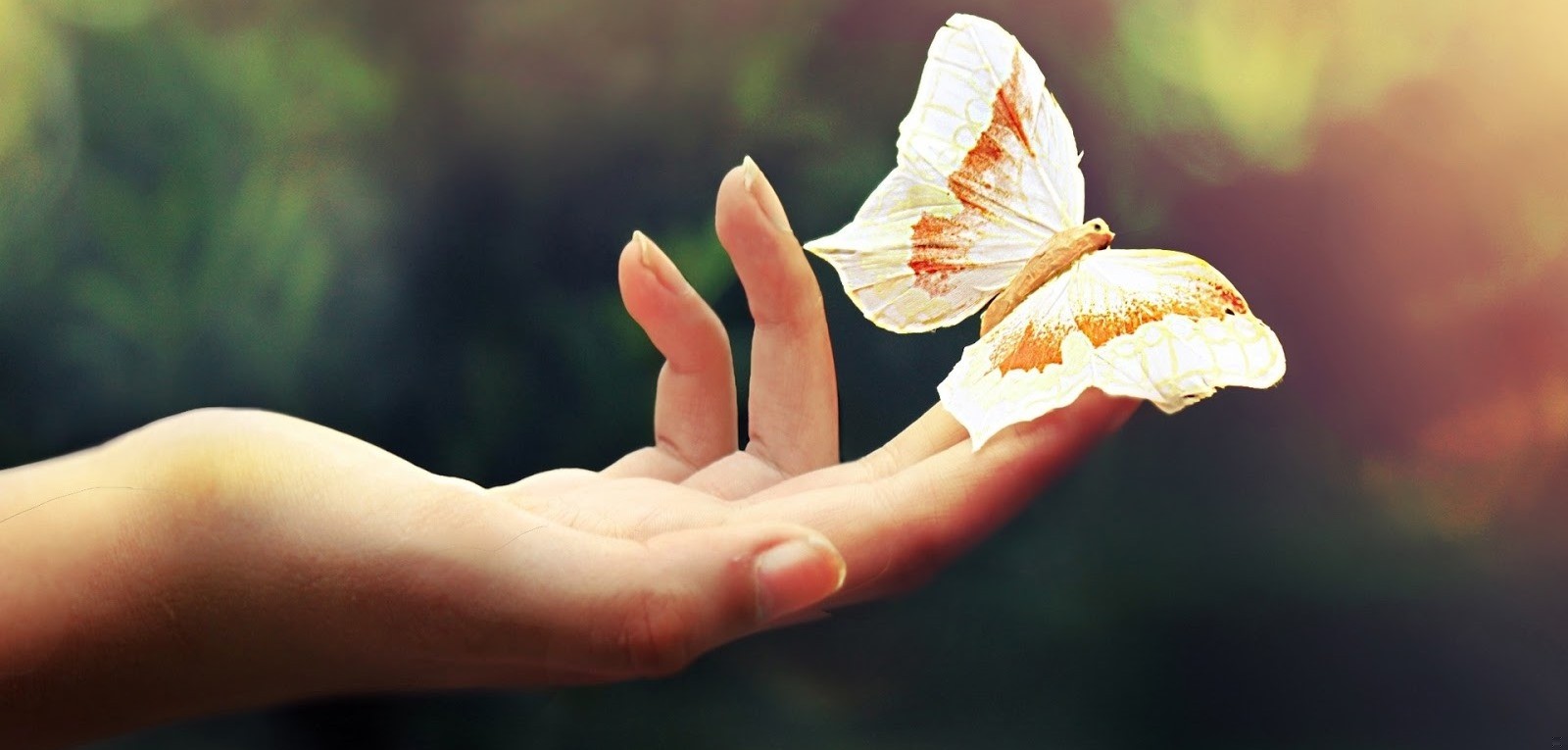 Nadzieja zmienia życie, daje siłę temu, kto nie ma nic …