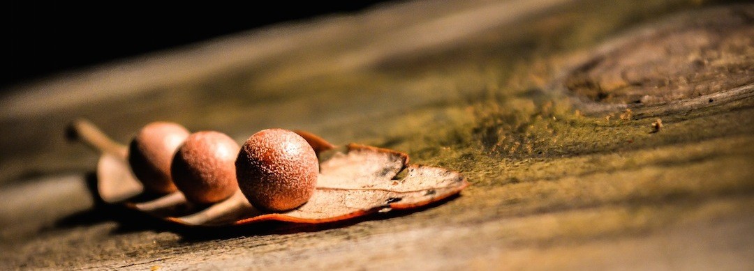 Nieodwzajemniona miłość to najlepszy przyjaciel samotności.