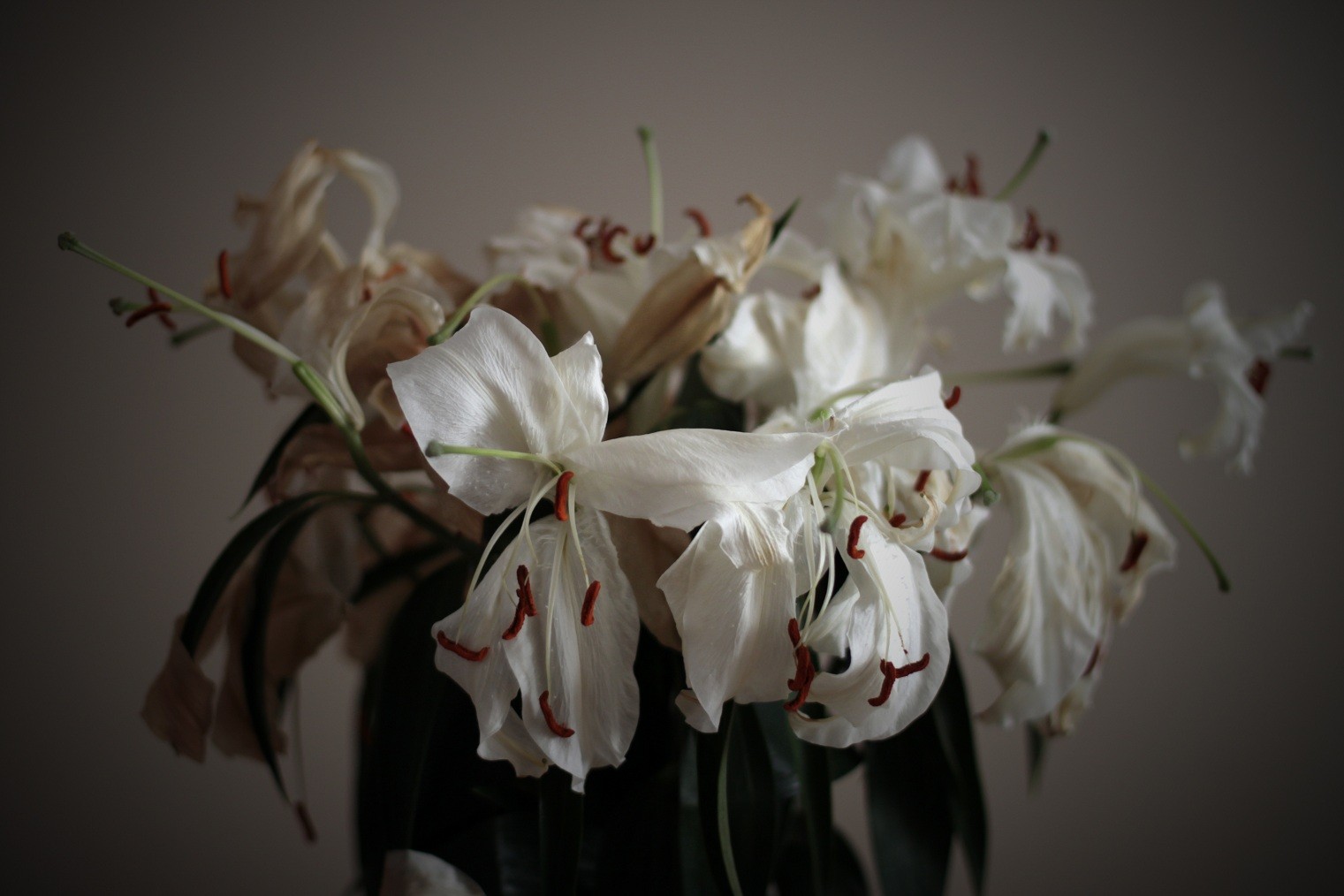 Kobiety bez towarzystwa mężczyzn więdną, a mężczyźni bez kobiet głupieją.