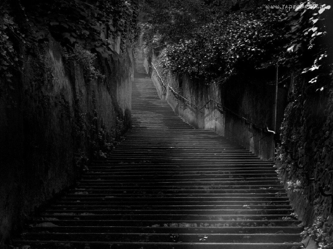 Są obszary, które muszą pozostać ciemne. Ani niewyraźne, ani ignorowane, …