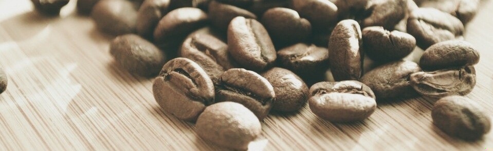 W jej sercu i umyśle było zbyt dużo kogoś innego, …