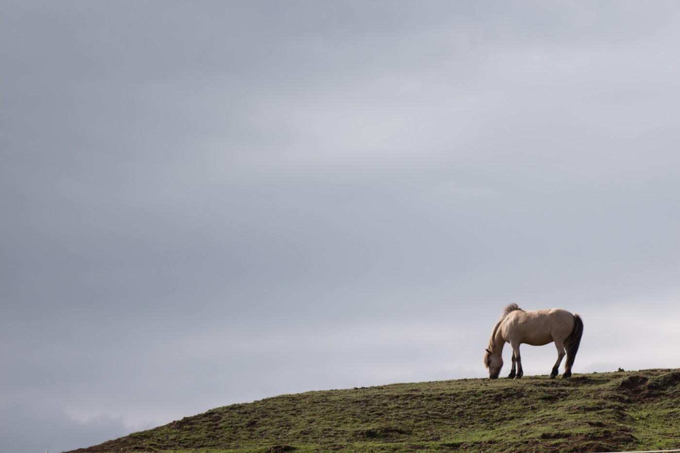 Kto chce wiedzieć,że osoba, którą kochasz, której potrzebujesz najbardziej, może …