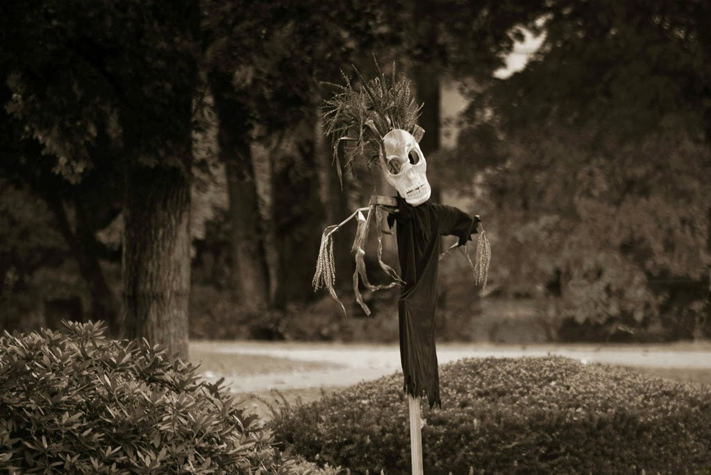 Ale jeśli ruszysz za kimś, kto zabłądził w lesie, sama …