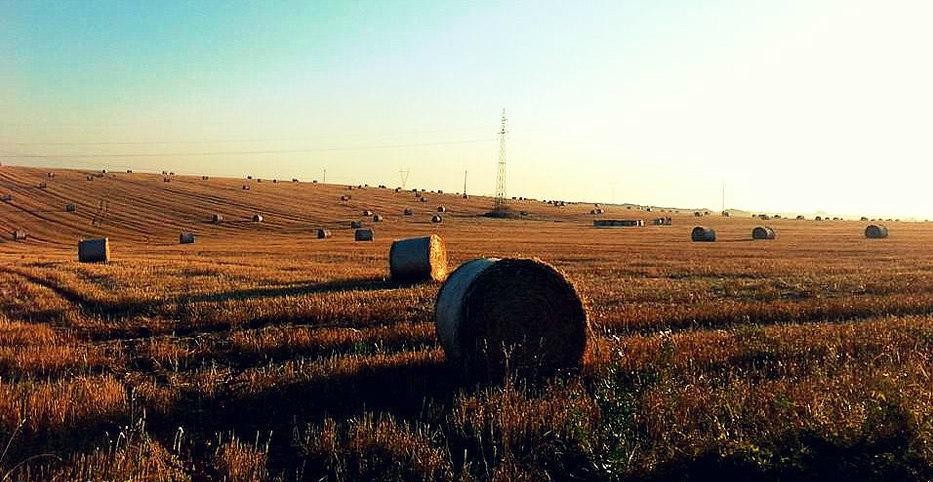 Każdy kiedyś przegrywa, lecz i z porażki można wiele wynieść.