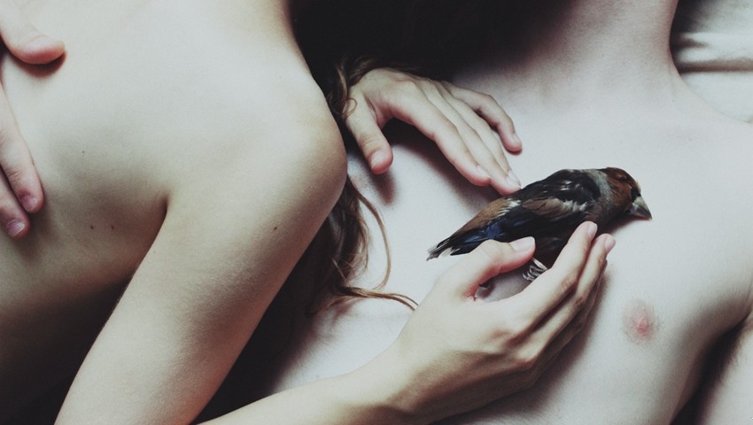 Jeśli nie mogę zdobyć cię Nikt ciebie nie zobaczy Jeśli …