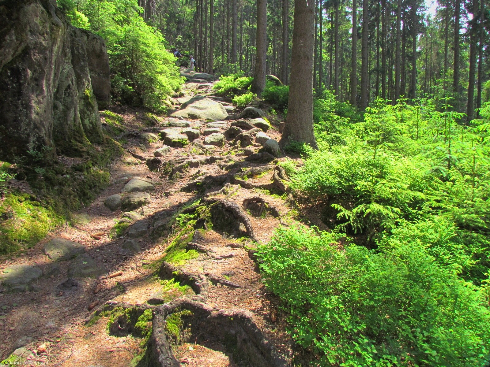 No i czuję zmęczenie – podnieś kamień, zważ go na …