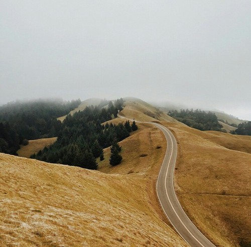 Wielokrotnie od myślenia robiłem się smutny, a od działania nigdy.