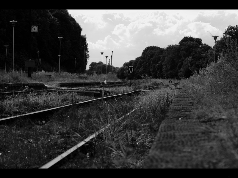 Mamy bilet tylko w jedną stronę, a to jest stacja …