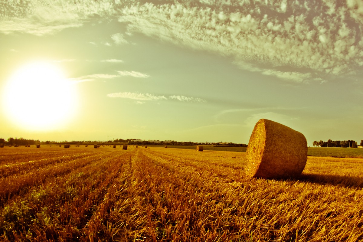 Uczucia tych, których przestaliśmy kochać, są zawsze śmieszne.