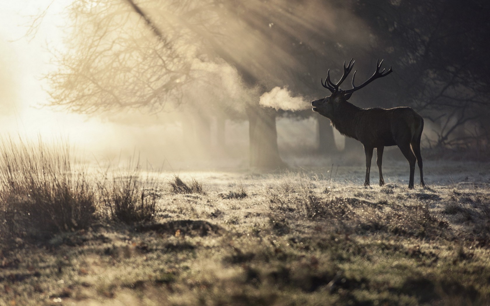 Pomimo iż nasze myśli prą naprzód, nie jesteśmy w stanie …