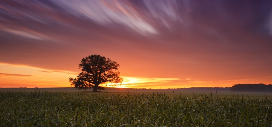 Zrozumiałem, że życie to potępienie. Wieczne rozpoczynanie wszystkiego od nowa.