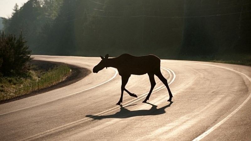 W końcu jednak, jeśli mamy być naprawdę szczęśliwi, musimy podążać …