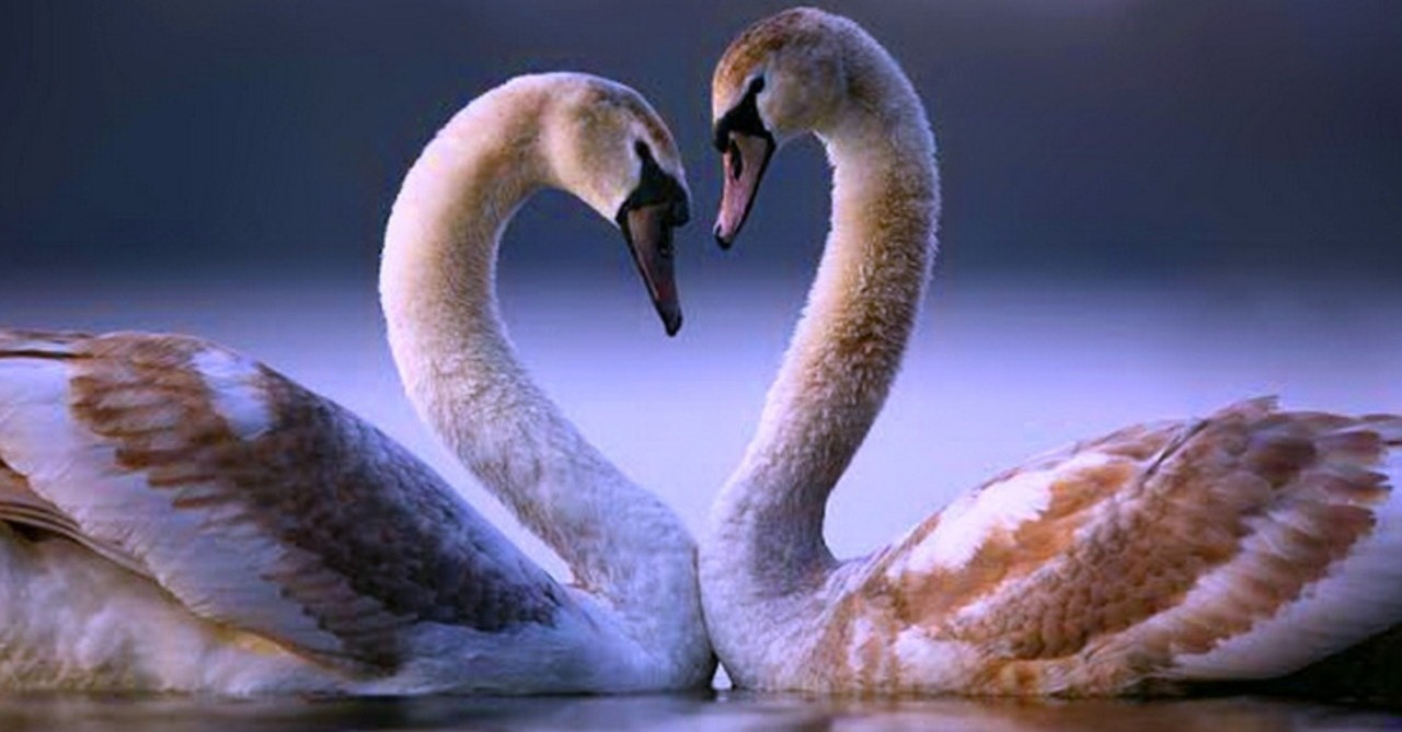 I żeby nie musieć zaczynać od nowa. Wiesz, co to …